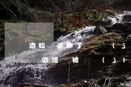 微粒貸逾期了會凍結(jié)微信(欠微粒貸微信會被凍結(jié)嗎)