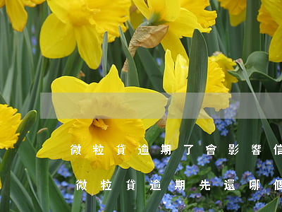 微粒貸逾期了會影響信用卡使用嗎（信用卡和微粒貸逾期先還哪個）