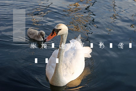 微粒貸逾期了會影響借唄(用借唄還微粒貸有風險嗎)