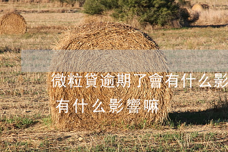 微粒貸逾期了會有什么影響(微粒貸逾期了會有什么影響嘛)