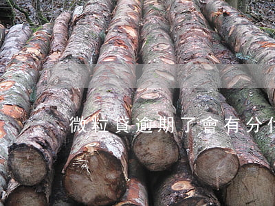 微粒貸逾期了會有分付嗎