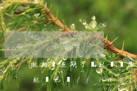 微粒貸逾期了會起訴嗎 微粒貸逾期多久會被起訴已經(jīng)經(jīng)偵立案