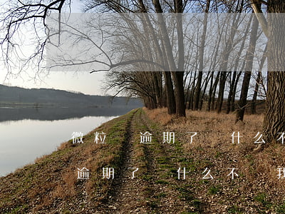 微粒貸逾期了為什么不給我打電話-微粒貸逾期了為什么不給我打電話了