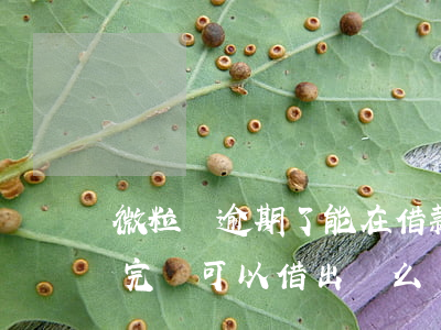 微粒貸逾期了能在借款嗎(微粒貸逾期幾天,還完還可以借出來么)