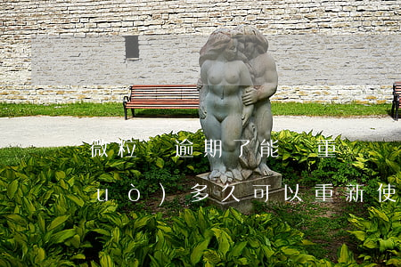 微粒貸逾期了能讓重組嗎(微粒貸逾期過(guò)多久可以重新使用)