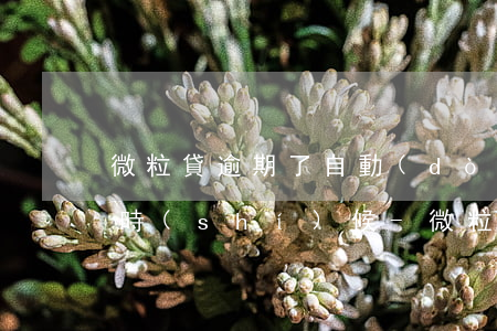 微粒貸逾期了自動(dòng)扣款是什么時(shí)候-微粒貸逾期了自動(dòng)扣款是什么時(shí)候扣的