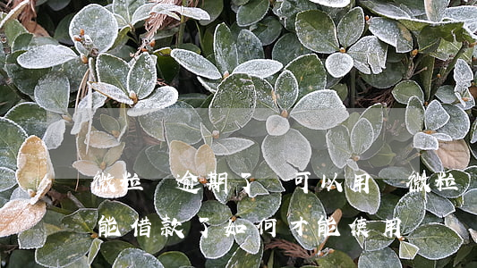 微粒貸逾期了還可以用嗎(微粒貸逾期還清不能借款了,如何才能使用)