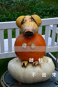 微粒貸逾期了還款進(jìn)去就一定借不出來(lái)了嗎（微粒貸逾期后還完款了）