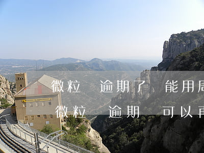 微粒貸逾期了還能用周轉(zhuǎn)金(微粒貸逾期還可以再使用么?)