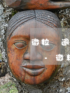 微粒貸逾期了還進(jìn)去還能套出來嗎-微粒貸逾期了還進(jìn)去還可以正常使用嗎