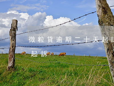 微粒貸逾期二十天起訴了(微粒貸逾期兩個月起訴)