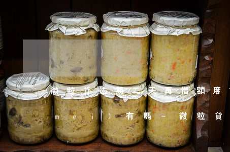 微粒貸逾期二天再借額度會(huì)沒(méi)有嗎-微粒貸逾期二天再借額度會(huì)沒(méi)有嗎怎么辦
