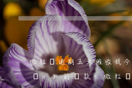 微粒貸逾期五天催收我今天下午五點(diǎn)前還款-微粒貸逾期第四天12點(diǎn)前還,不然要重新審核還款資格