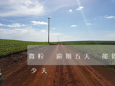 微粒貸逾期五天還能借嗎(微粒貸可以逾期多少天還)