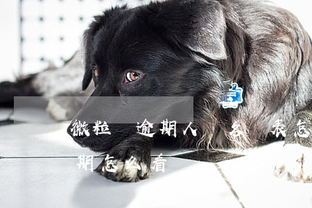 微粒貸逾期人員名單表怎么查 微粒貸是否逾期怎么看