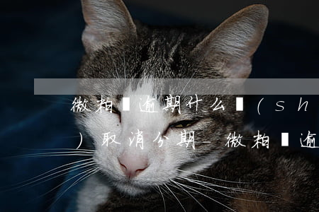 微粒貸逾期什么時(shí)候會(huì)取消分期-微粒貸逾期多久會(huì)關(guān)閉
