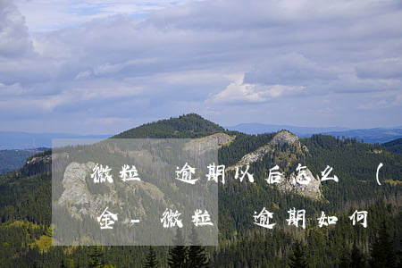 微粒貸逾期以后怎么協(xié)商只還本金-微粒貸逾期如何協(xié)調(diào)