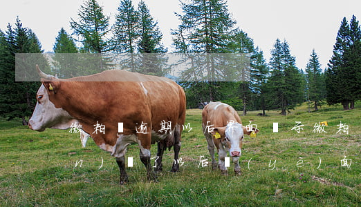 微粒貸逾期以后界面顯示(微粒貸關(guān)閉了以后頁(yè)面為什么還顯示)
