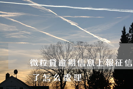 微粒貸逾期信息上報征信(微粒貸逾期上征信了怎么處理)