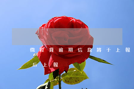 微粒貸逾期信息將于上報(微粒貸提示上幾天后上報)
