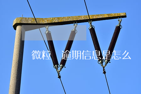 微粒貸逾期信息是怎么樣的(微粒貸逾期后果)
