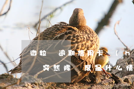 微粒貸逾期信用卡會(huì)降額嗎(微粒貸突然降額度是什么情況)