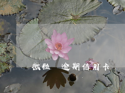 微粒貸逾期信用卡論壇(微粒貸逾期天天被騷擾)