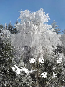 微粒貸逾期備案上門(mén)(微粒貸逾期備案上門(mén))