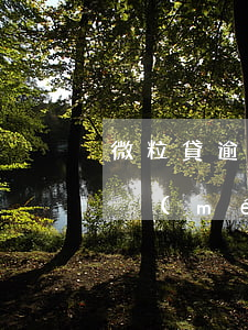 微粒貸逾期催收暴力不(微粒貸逾期暴力催收沒(méi)人管嗎?)