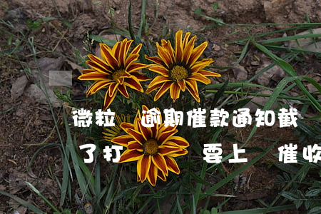微粒貸逾期催款通知截圖(微粒貸逾期15天了打電話說要上門催收)