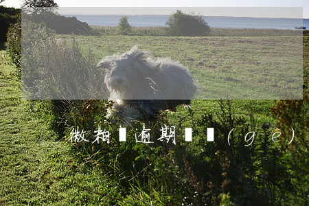 微粒貸逾期兩個(gè)月怎么辦