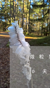 微粒貸逾期兩個月12萬(微粒貸可以逾期10天)