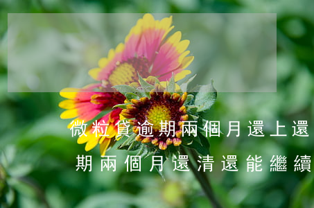 微粒貸逾期兩個月還上還能用嗎-微粒貸逾期兩個月還清還能繼續(xù)使用嗎