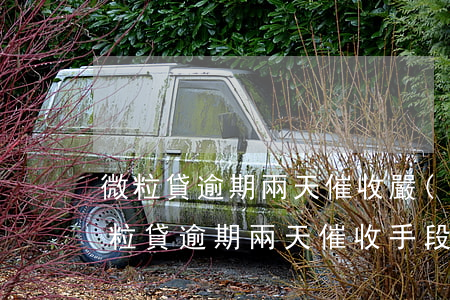 微粒貸逾期兩天催收嚴(yán)重，警惕！微粒貸逾期兩天，催收手段堪憂