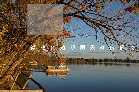 微粒貸逾期兩天就信催收(微粒貸催款)