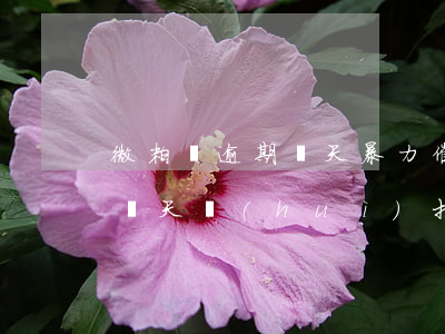 微粒貸逾期兩天暴力催收怎么辦 微粒貸逾期兩天會(huì)打電話嗎