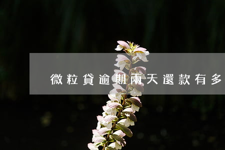 微粒貸逾期兩天還款有多大影響-