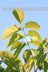 微粒貸逾期兩年了一直沒(méi)有被起訴-微粒貸逾期兩年了一直沒(méi)有被起訴會(huì)怎么樣