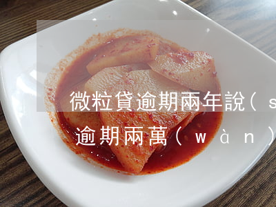 微粒貸逾期兩年說(shuō)起訴(微粒貸逾期兩萬(wàn)多會(huì)起訴嗎)