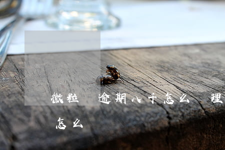 微粒貸逾期八千怎么處理(欠了微粒貸逾期了怎么辦)