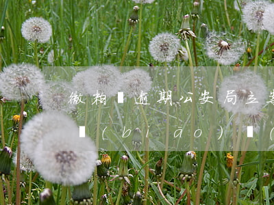 微粒貸逾期公安局立案(微粒貸逾期起訴立案標(biāo)準(zhǔn))