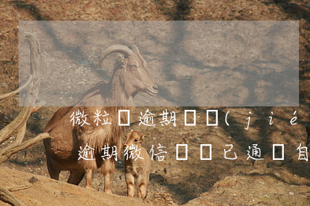 微粒貸逾期凍結(jié)怎么解封(微粒貸逾期微信賬號已通過自助凍結(jié)是怎么回事)