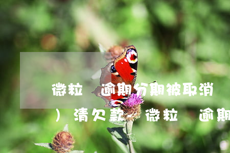 微粒貸逾期分期被取消讓一次性結(jié)清欠款-微粒貸逾期取消分期了,需一次性付款