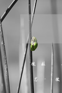 微粒貸逾期利息加天數(shù)是什么意思-微粒貸逾期后的利息結(jié)算是按國家規(guī)定