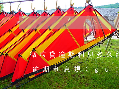 微粒貸逾期利息多久結(jié)束(微粒貸逾期利息規(guī)則)
