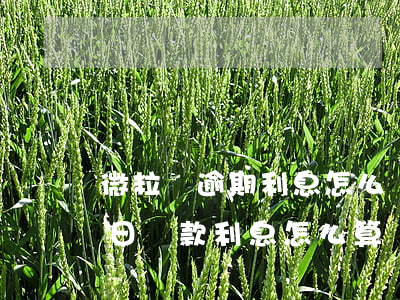 微粒貸逾期利息怎么計(jì)算(微粒貸次日還款利息怎么算)