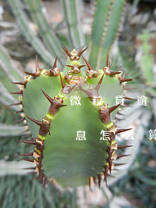 微粒貸逾期利息怎么計算(微粒貸次日還款利息怎么算)