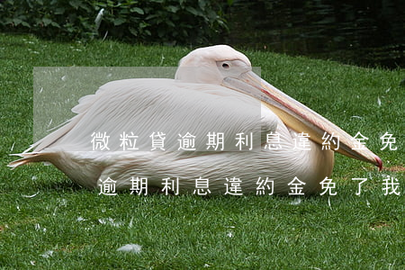 微粒貸逾期利息違約金免了我就還-微粒貸逾期利息違約金免了我就還了