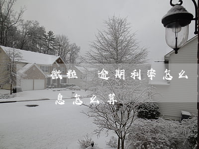 微粒貸逾期利率怎么計(jì)算(微粒貸利息怎么算)