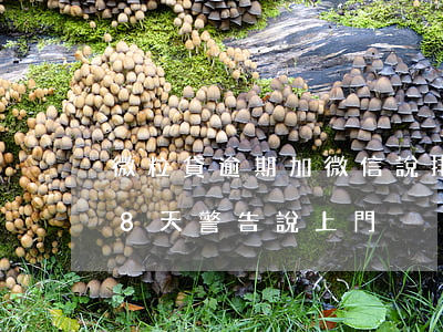 微粒貸逾期加微信說排期上門(微粒貸逾期38天警告說上門)